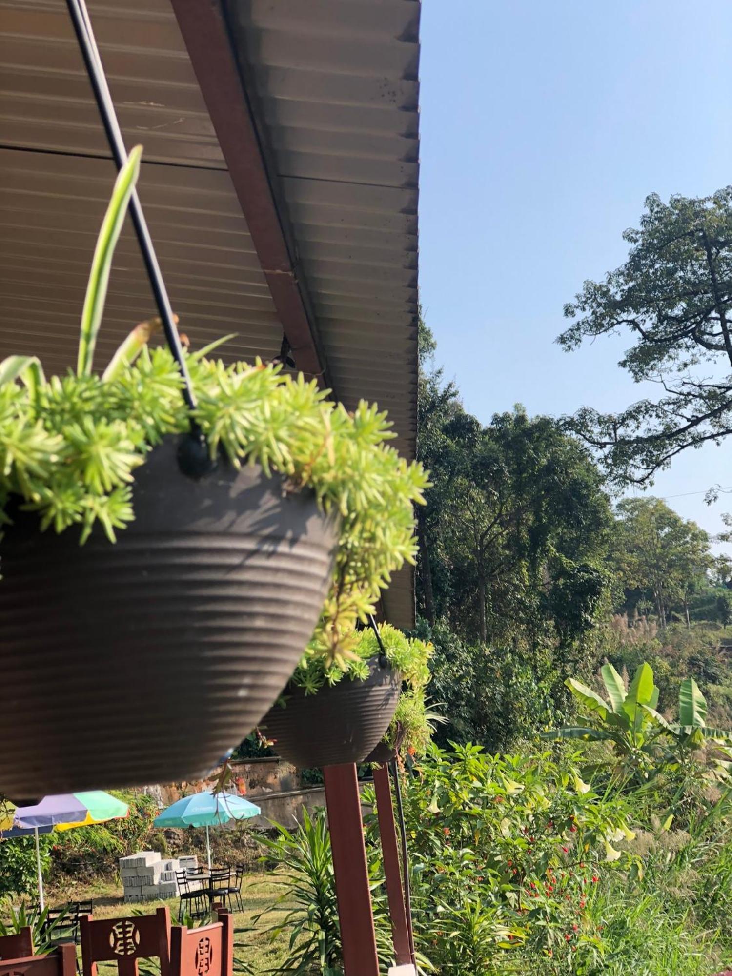 Into The Wild Pokhara Villa Kaski Exterior photo