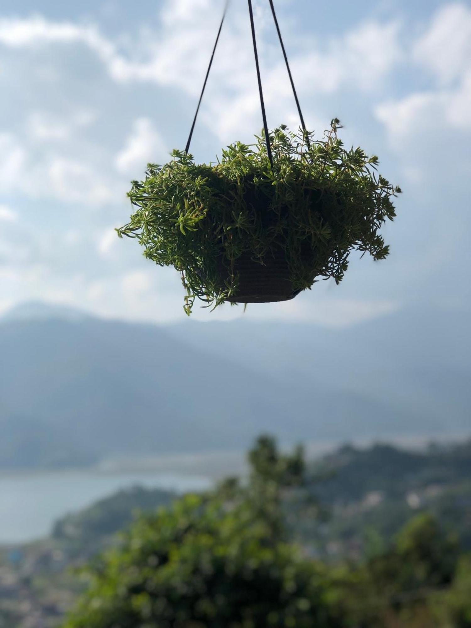 Into The Wild Pokhara Villa Kaski Exterior photo