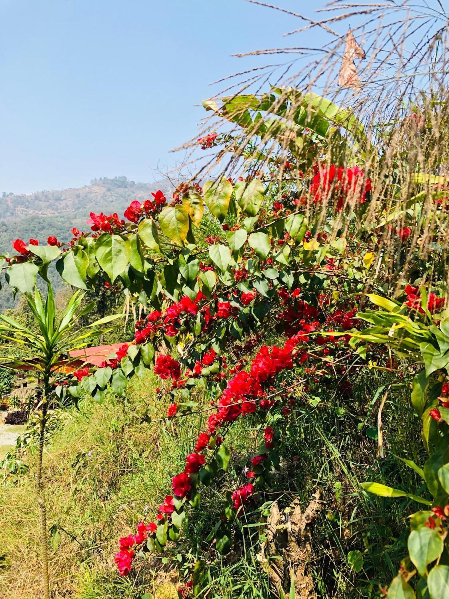 Into The Wild Pokhara Villa Kaski Exterior photo